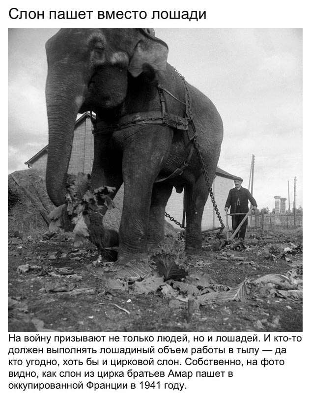 Рассекреченные снимки Второй мировой войны