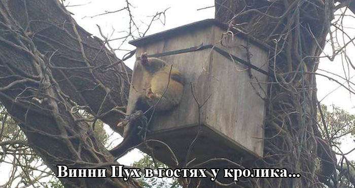 Подборка фото приколов которые веселят