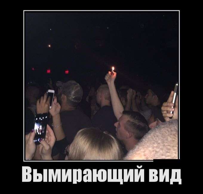 Новые и прикольные демотиваторы, наслаждайтесь