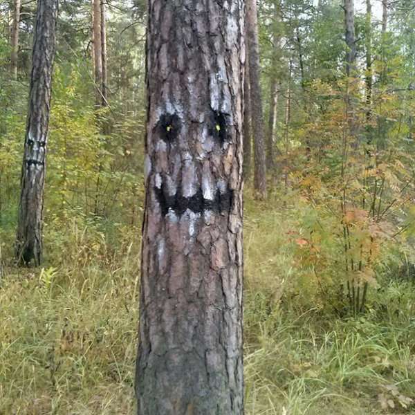 Злая шутка