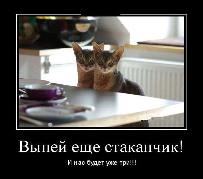 Демотивируйтесь на здоровье!