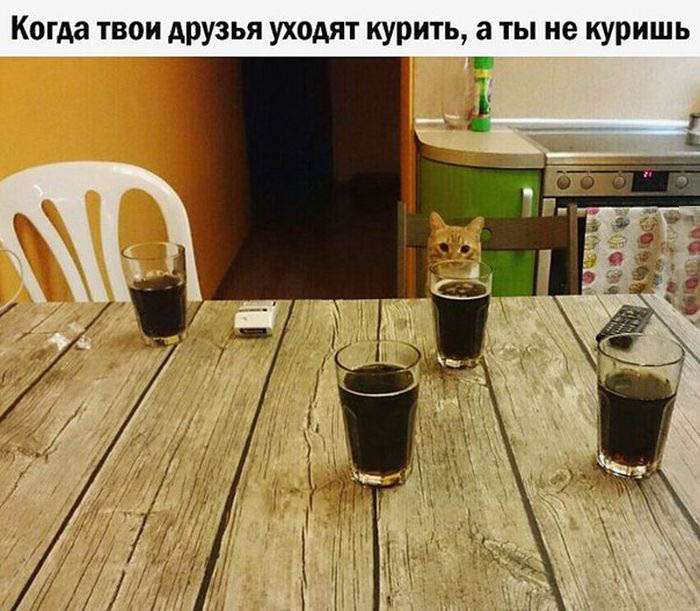 Пятничная подборка фотоприколов