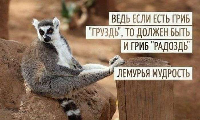 Фото заряжающие позитивом