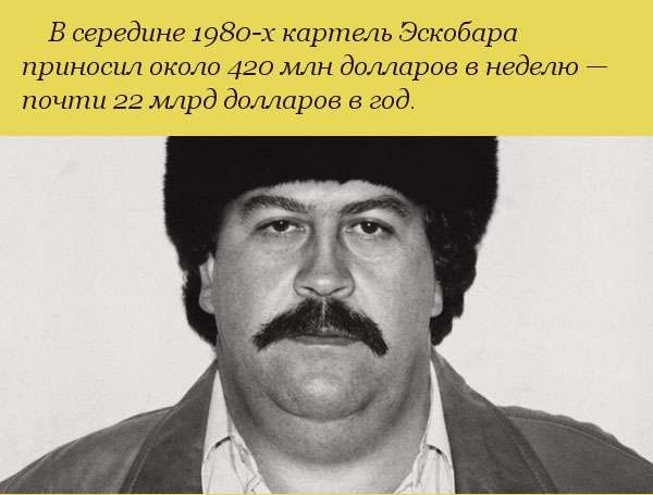 Любопытные факты о богатстве колумбийского наркобарона Пабло Эскобара