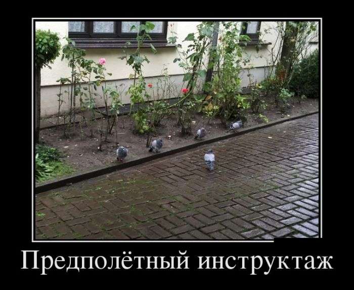 Демотивационные приколы, наслаждайтесь