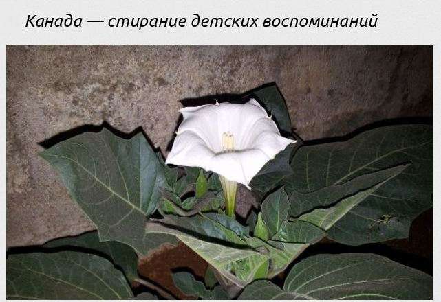 Самые жестокие и жуткие испытания мужественности