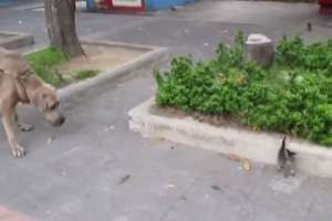 Молниеносный налет