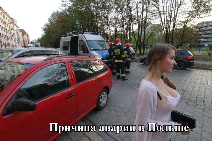 Юмор в фотографиях