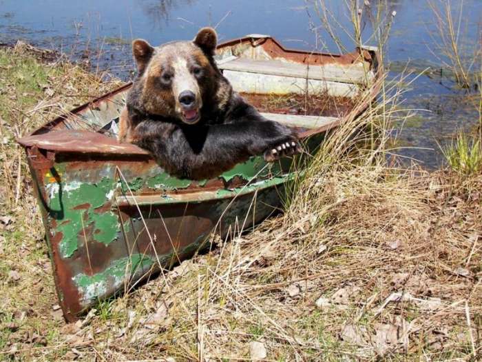 Такое возможно только в России