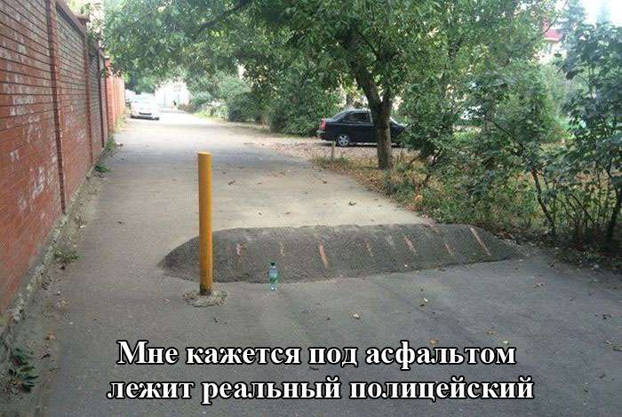 Коллекция свежих приколов