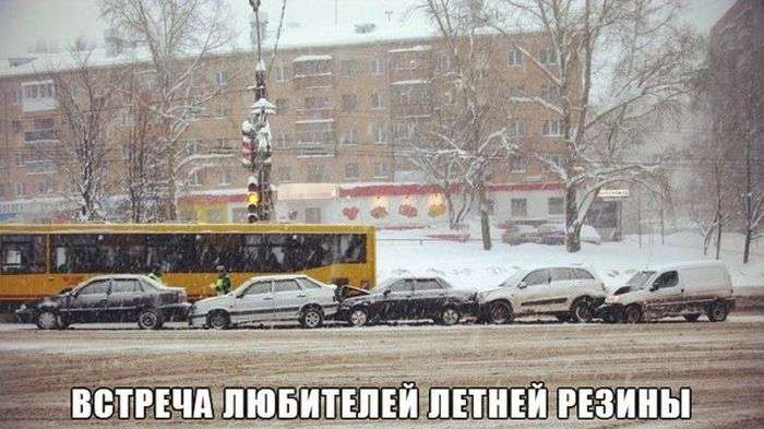 Пятничная подборка прикольных фото