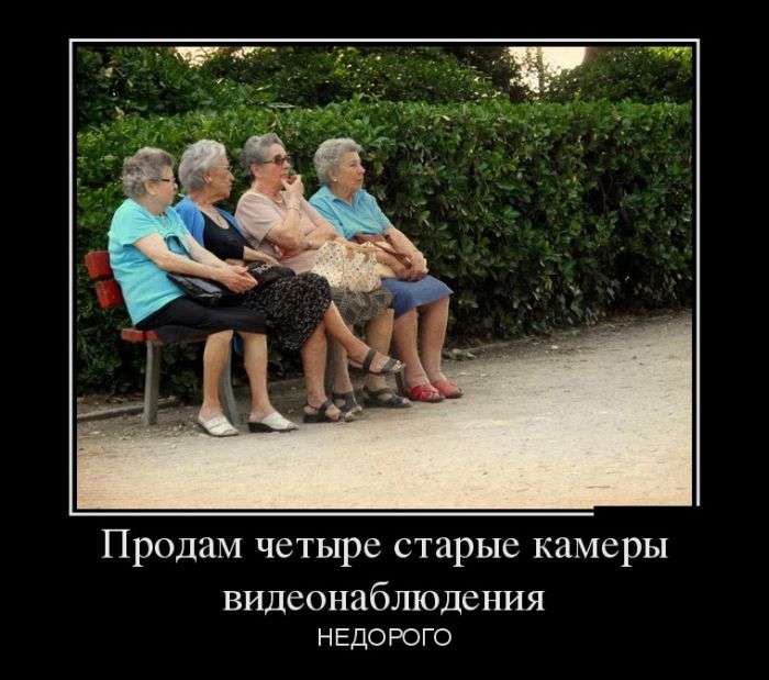 Демотиваторы