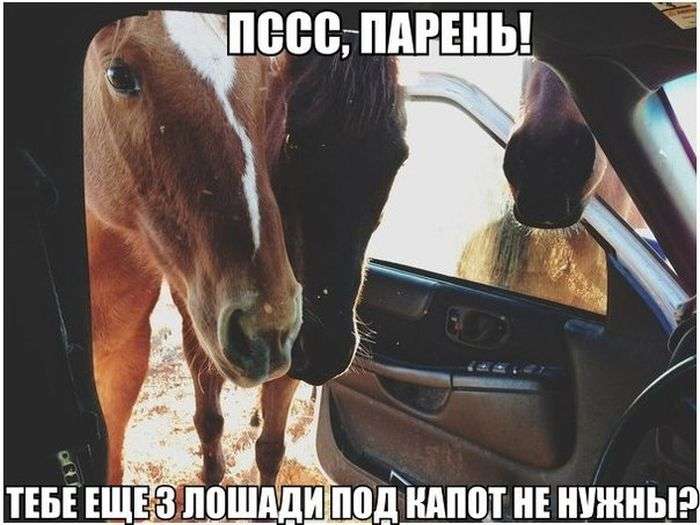 Автомобильный юмор