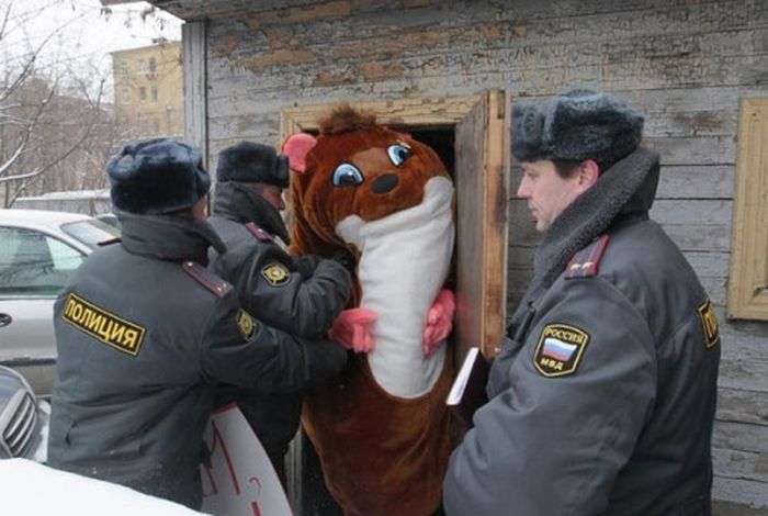 Прикольная фотоподборка