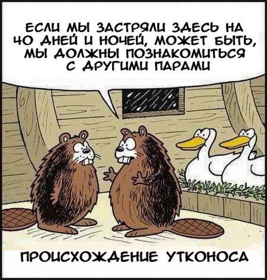 Смешные комиксы