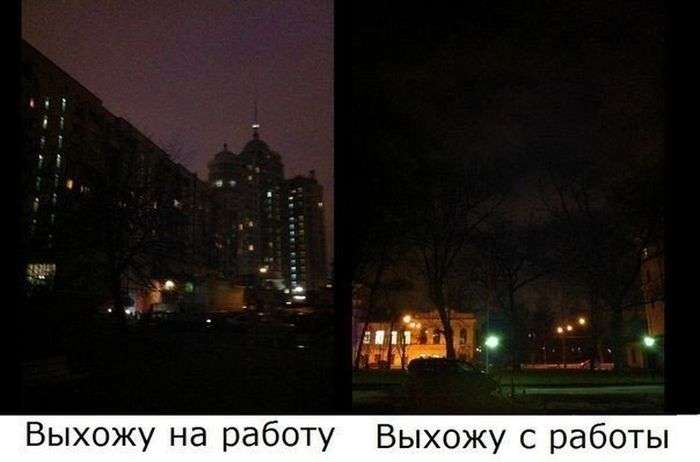 Забавная подборка фотографий