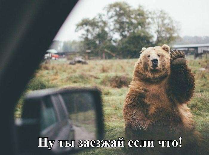 Классные картинки