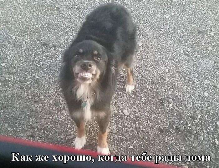 Отличные приколы