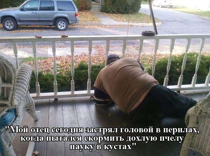 Забавные картинки на злобу дня