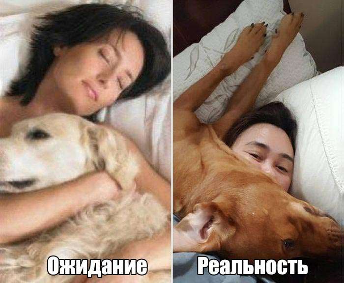 Пятничные фотоприколы