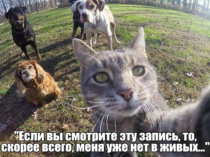 Прикольные картинки на пятницу
