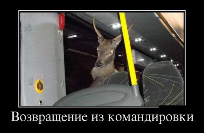 Классная демотивация