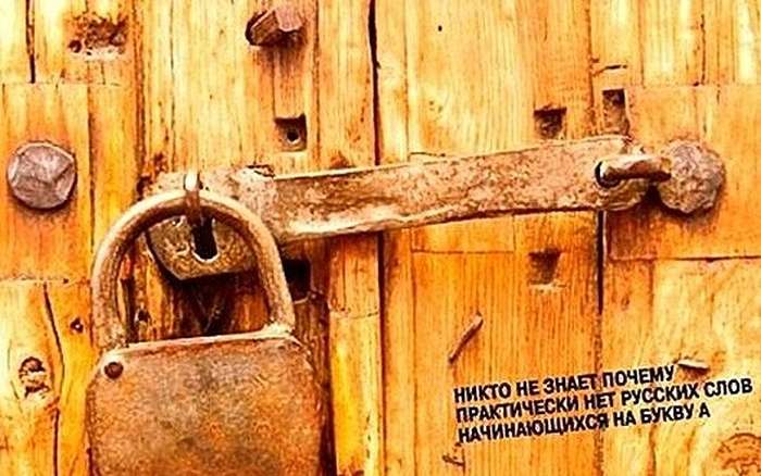 Любознательные факты о русском языке