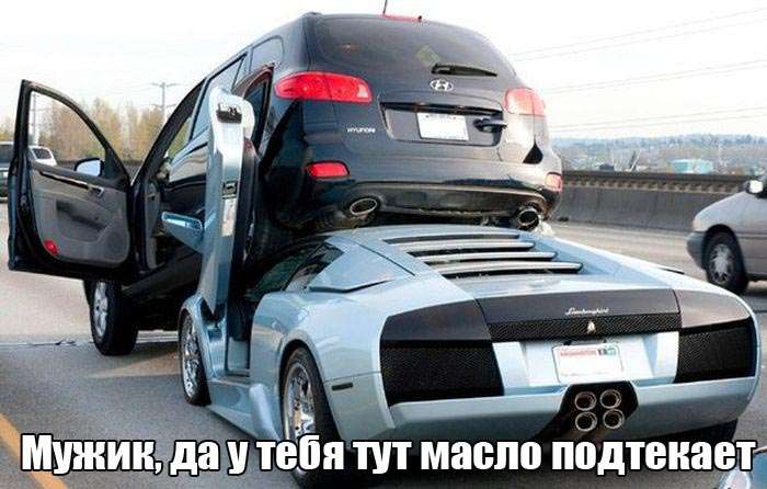 Прикольные картинки