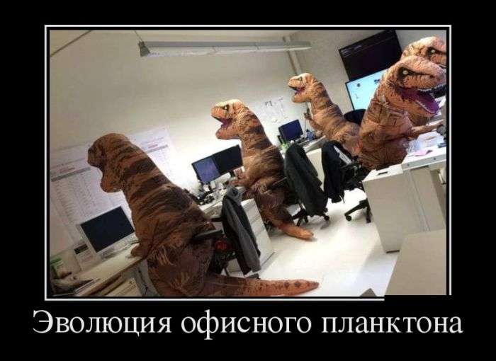 Демотиваторы