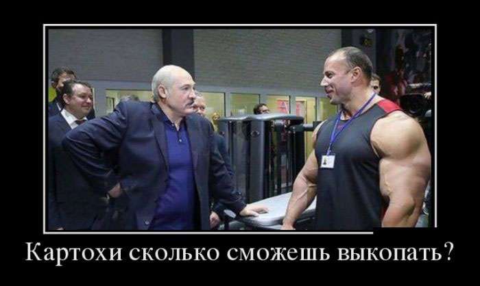 Свежая демотивация