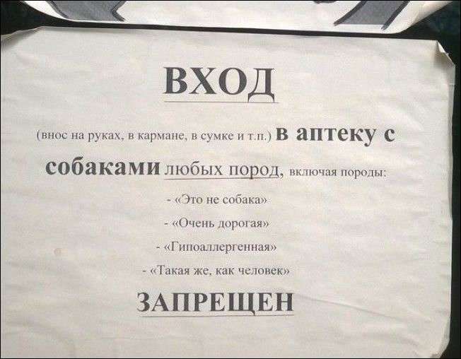 Самые смешные объявления, от которых хочется плакать