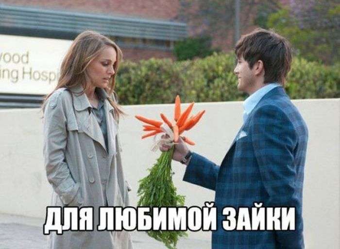 Классная подборка картинок
