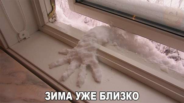 Картинки со смешными надписями