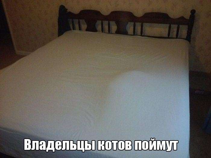 Юмористичные снимки