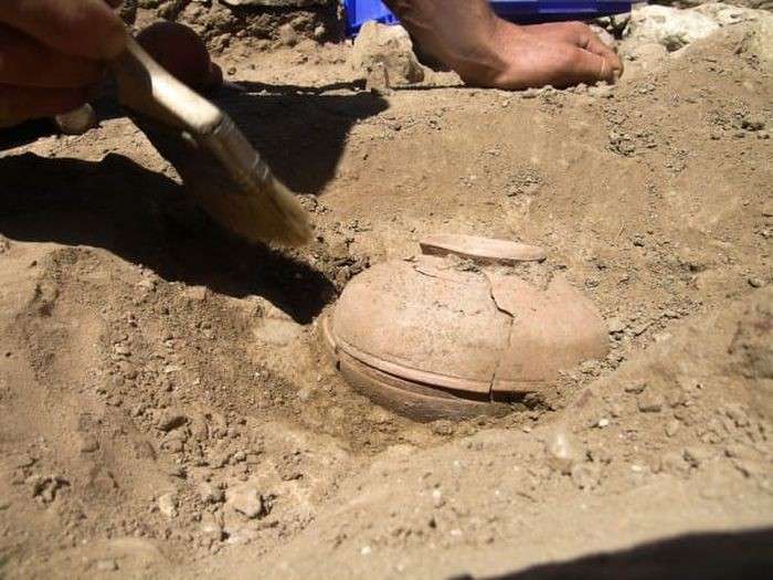 Урожай тыквы из 800-летних семян