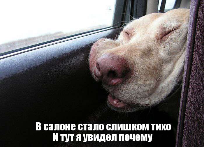 Забавные снимки