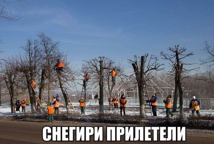 Веселые фото приколы
