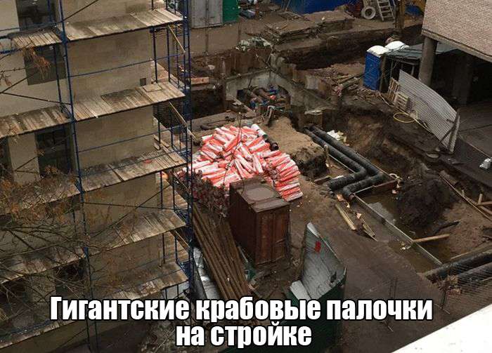Пятничные фото приколы