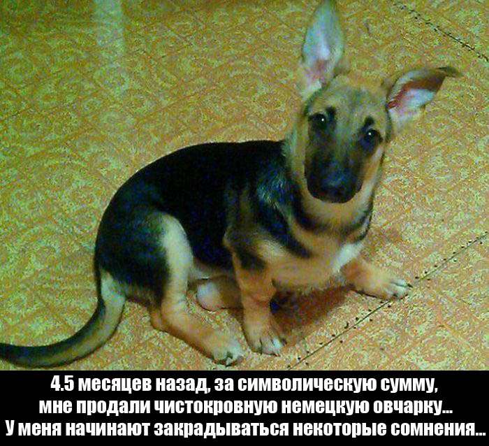 Прикольные картинки с юмором
