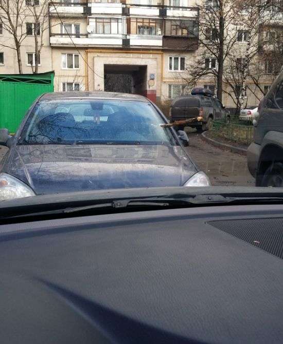 Как пострадал автомобиль из-за сильного ветра в Москве
