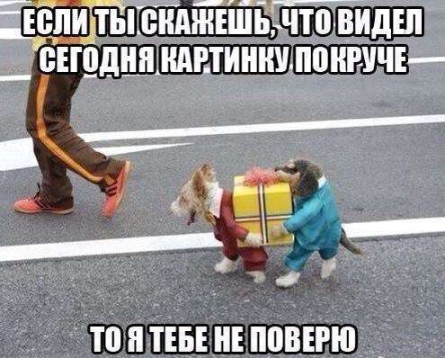 Картинки со смешными надписями