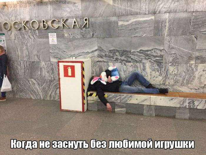 Забавная подбрка фотографий