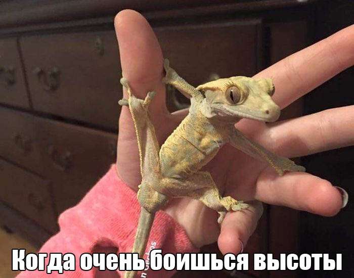 Прикольные фотографии