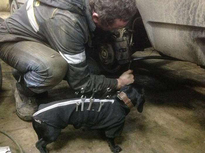 Необычный помощник автомеханика