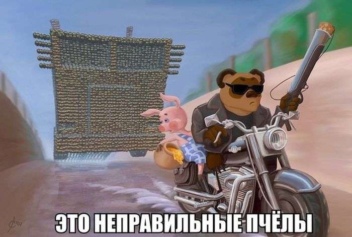 Фото с юмором