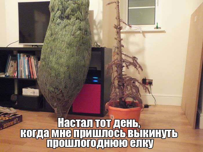 Пятничная подборка прикольных фото