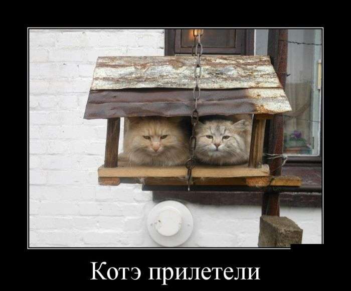 Классная демотивация