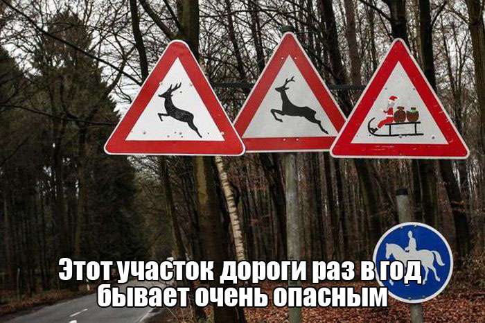 Пятничные фото приколы
