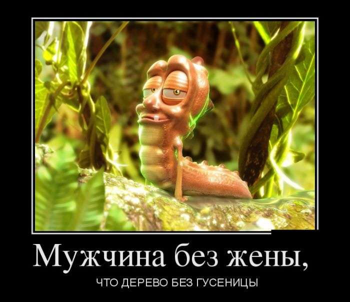 Свежие демотиваторы