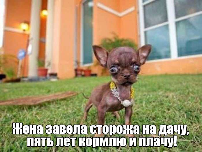 Юмор на злобу дня